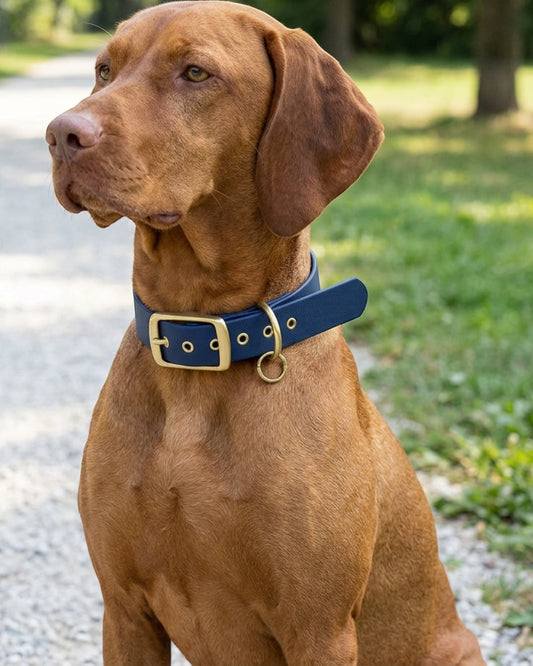 Vivart Waterproof Coated Webbing Pet Collar 2.5 cm Neck 35-50 cm Navy - Lifestyle view